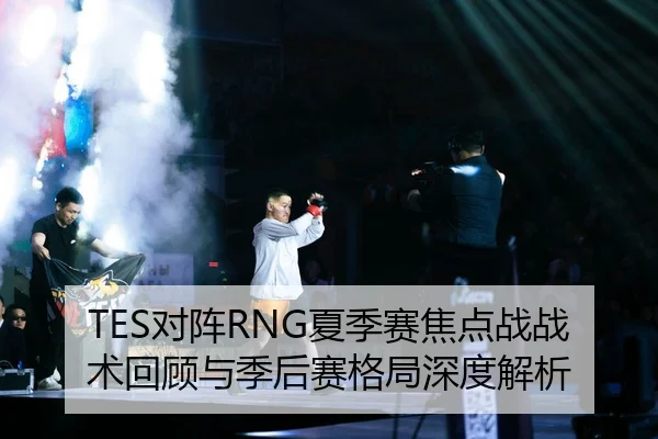 TES对阵RNG夏季赛焦点战战术回顾与季后赛格局深度解析